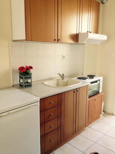 Jenny'S Holiday Villas Полихроно Экстерьер фото